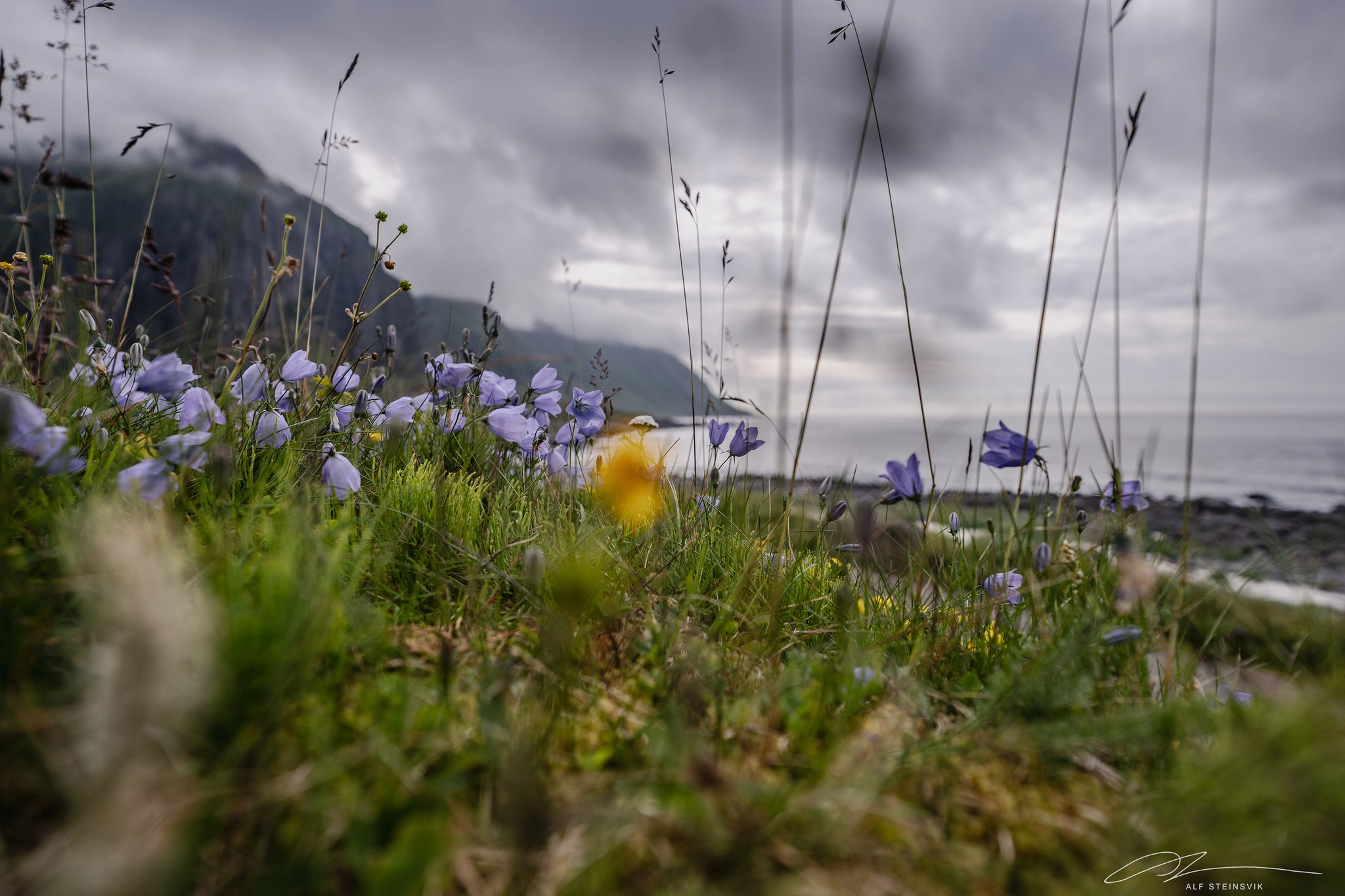 Norway Lofoten Eggum Butterflies in the stomach