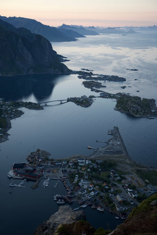 Norway Lofoten Flourish at altitude