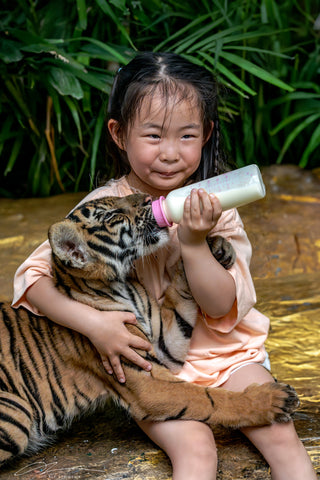 Thailand Bangkok Tiger cub Nursing joy 1