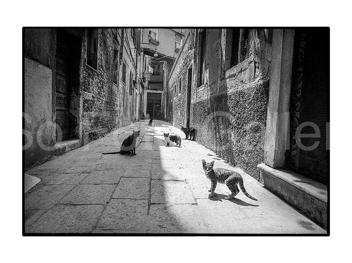 Alley, Venice