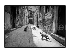 Alley, Venice