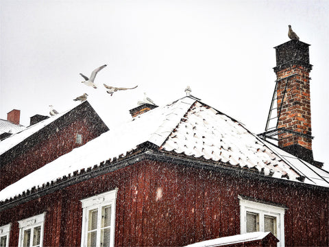 Lek med snöflingorna