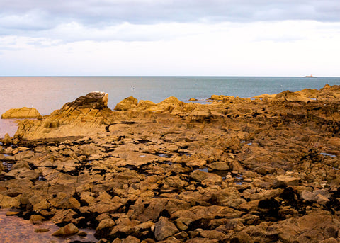 The Flat Rocks of Dublin (50x40)