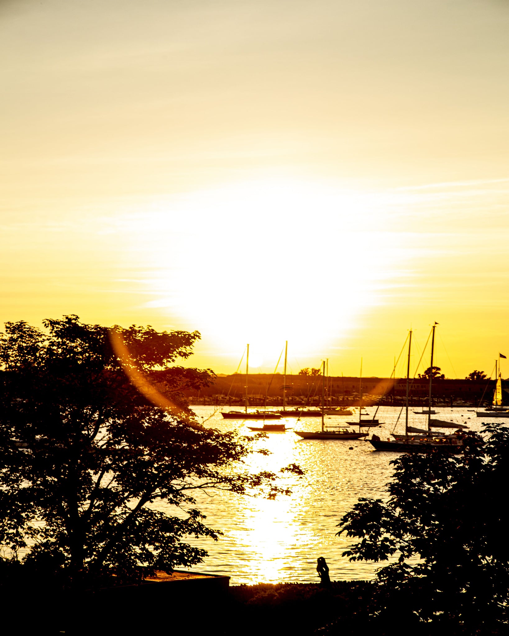 The Sunset at Harbour Court (40x50)