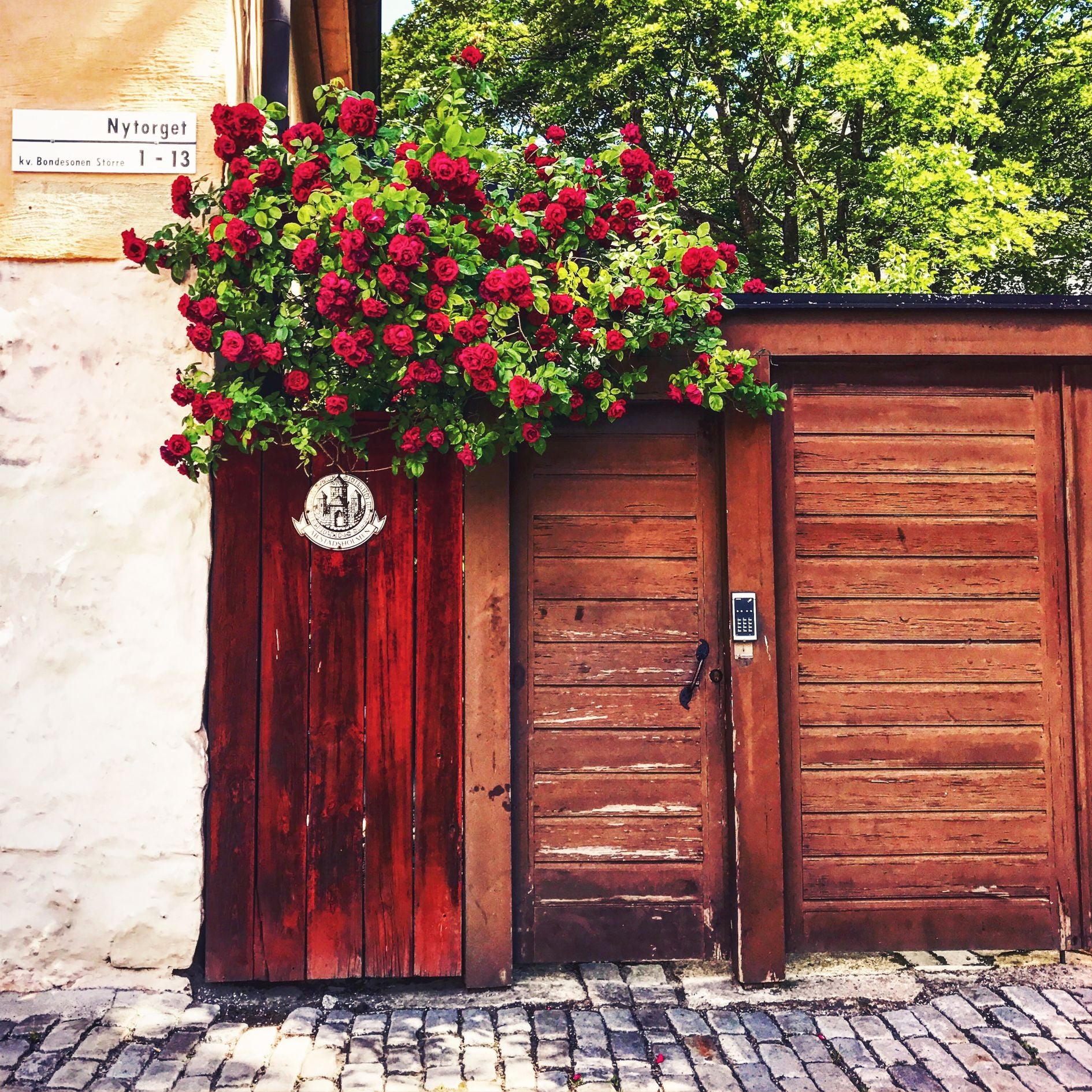 The Door, Nytorget 30 x 30