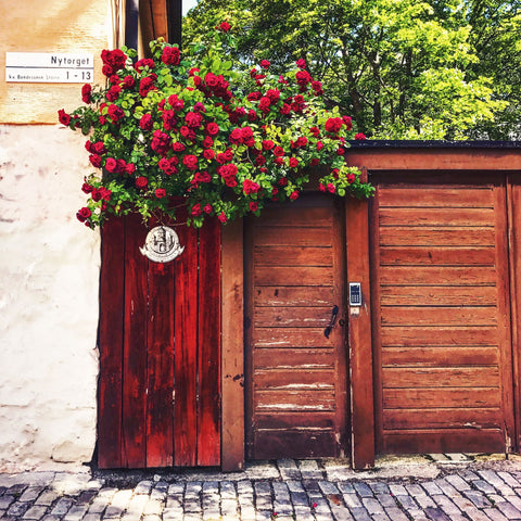 The Door, Nytorget 30 x 30