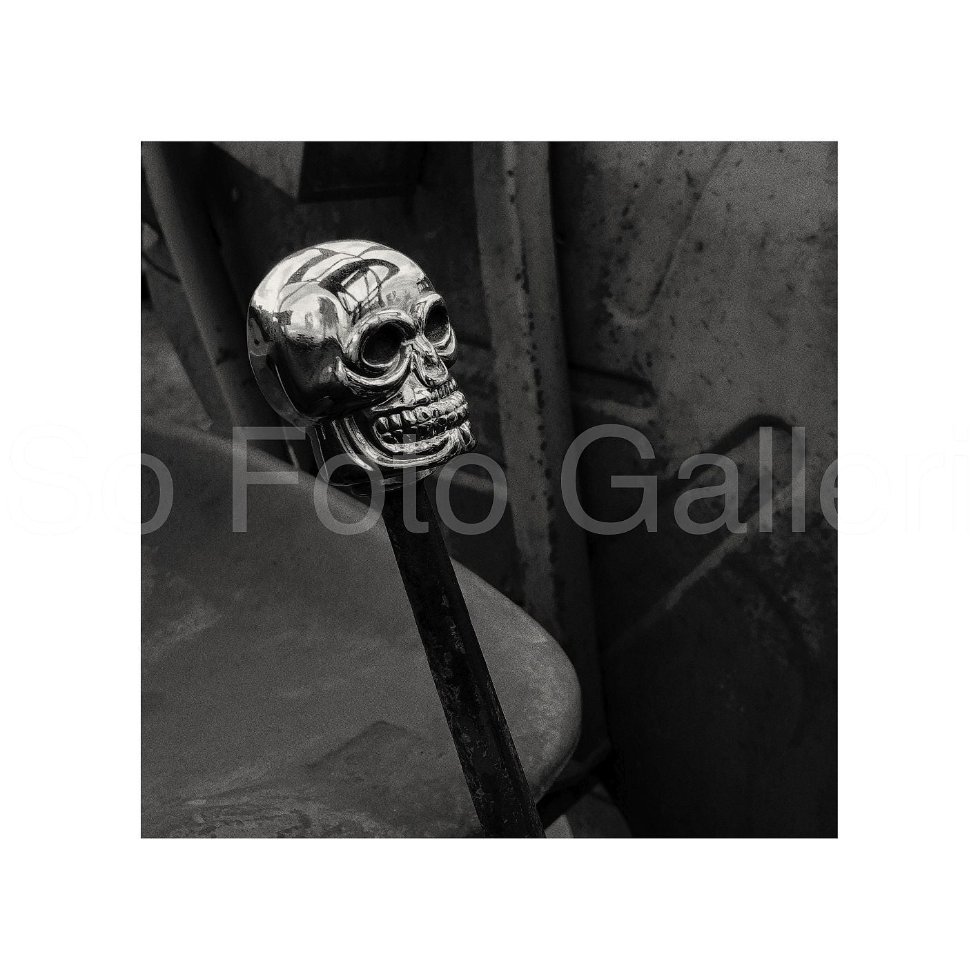Gear shift skull