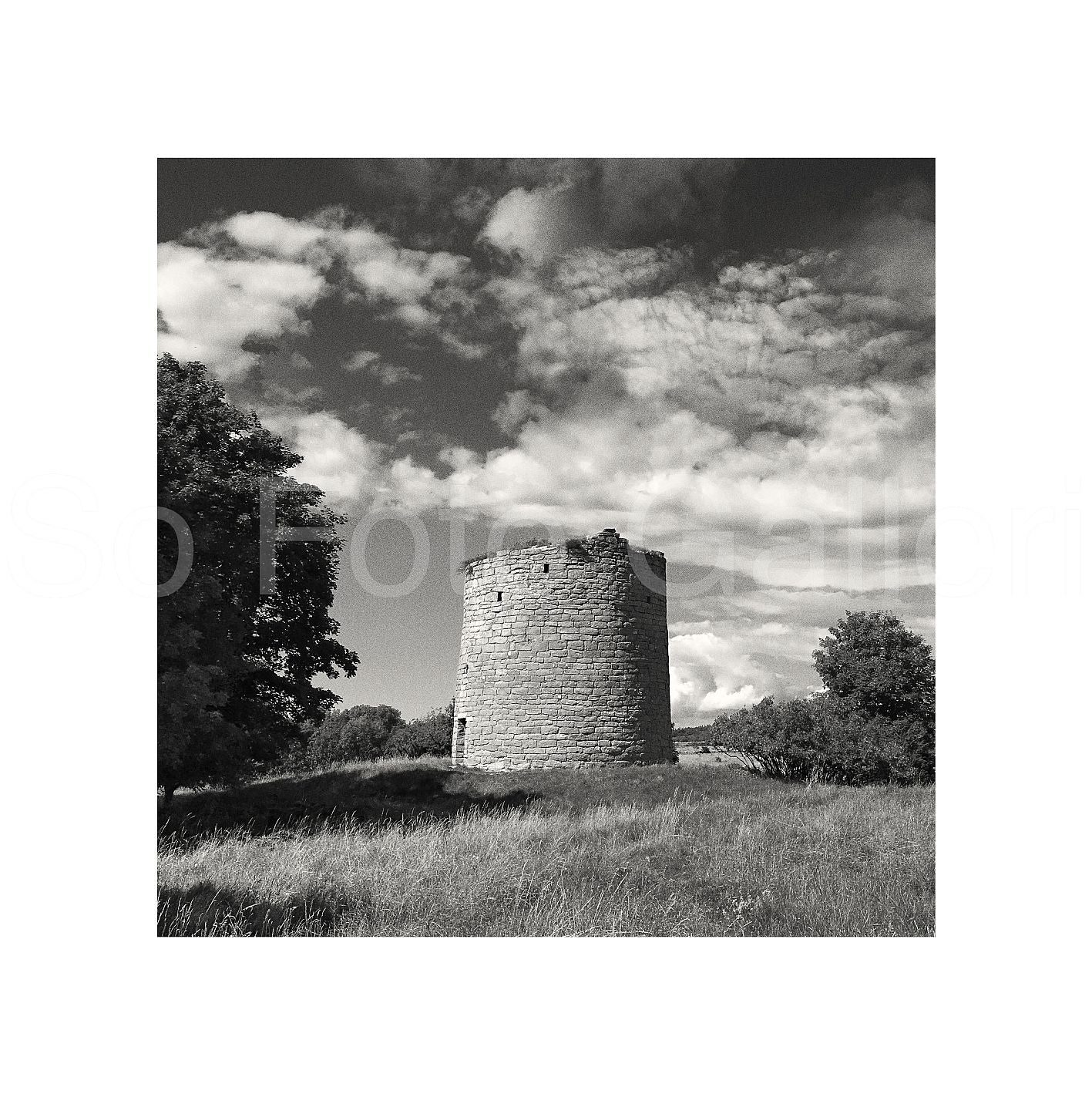 Tower