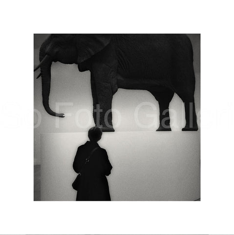 Woman looking at an elephant