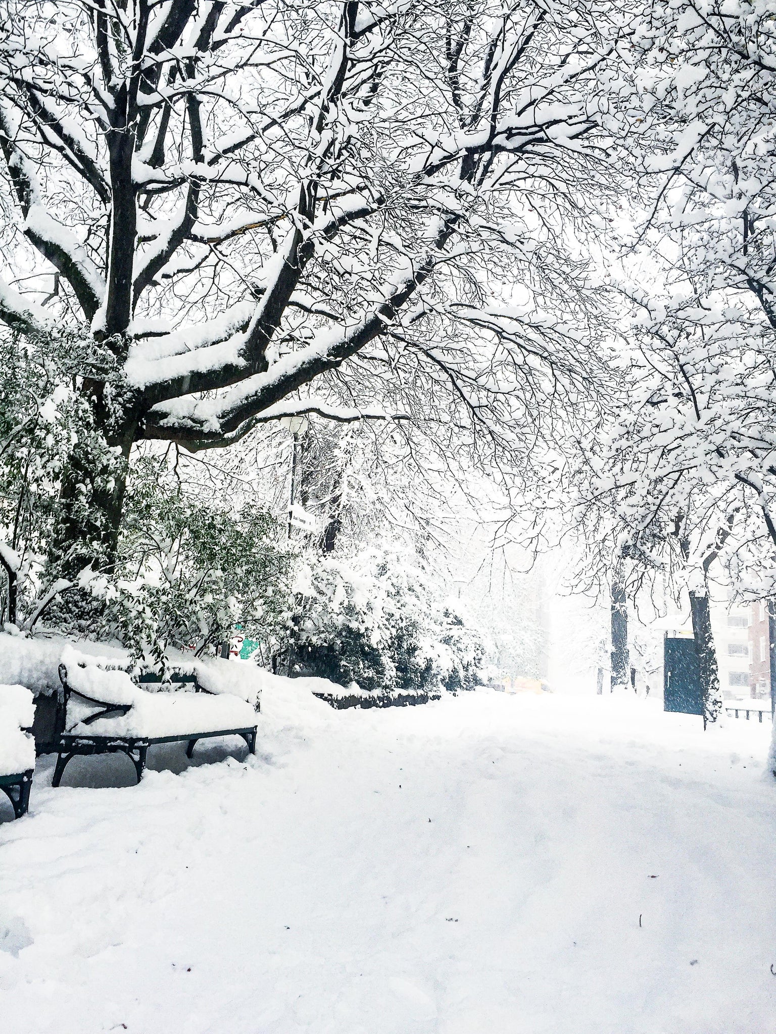 Narnia, Axel Landquists park