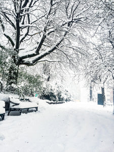 Narnia, Axel Landquists park