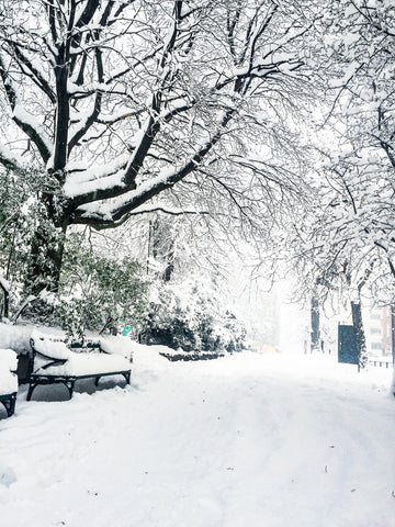Narnia, Axel Landquists park