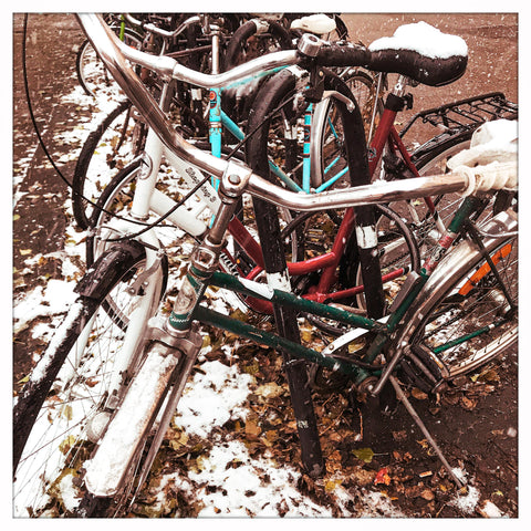 Mashed w. leaves & bikes