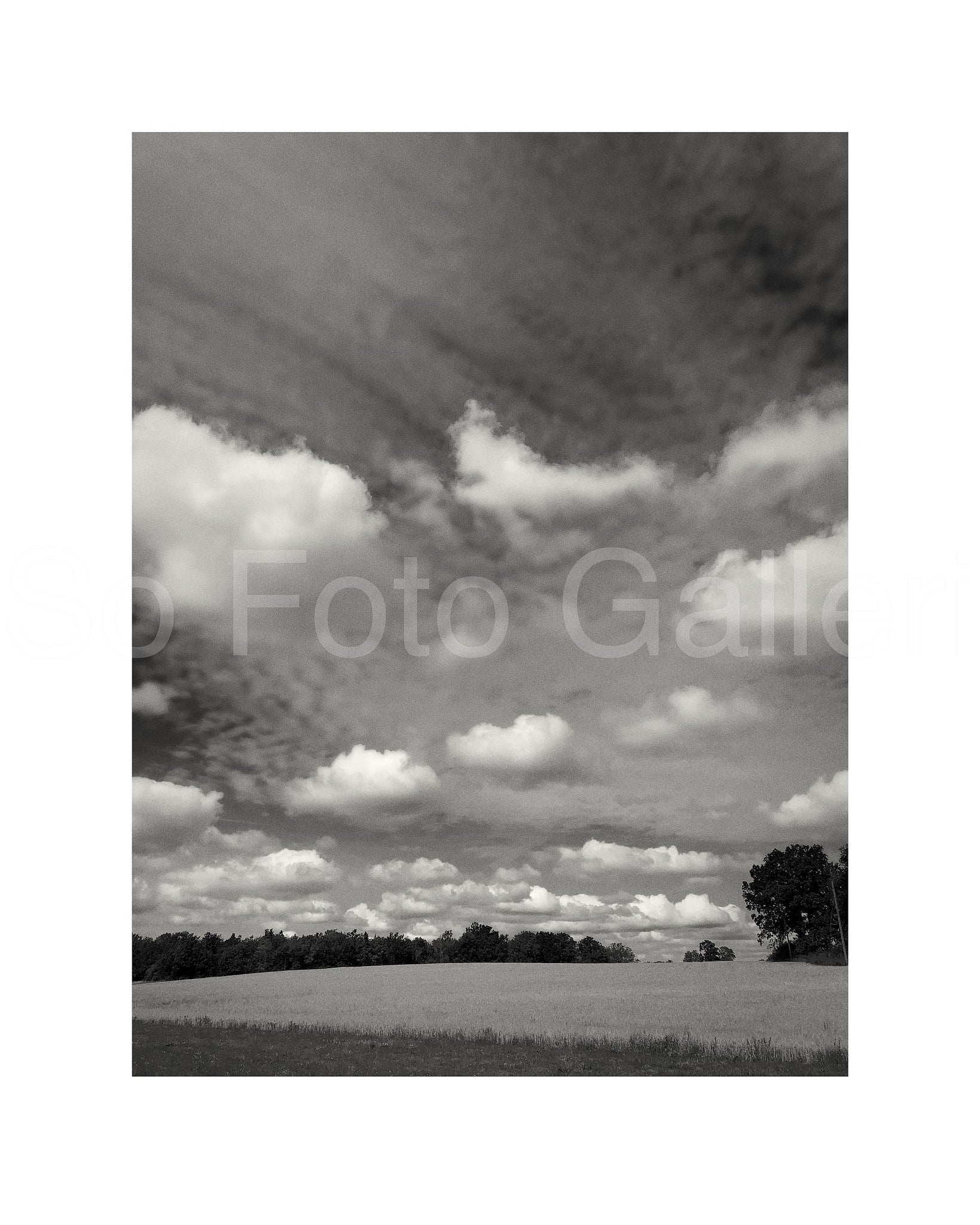 Clouds and Wheat field