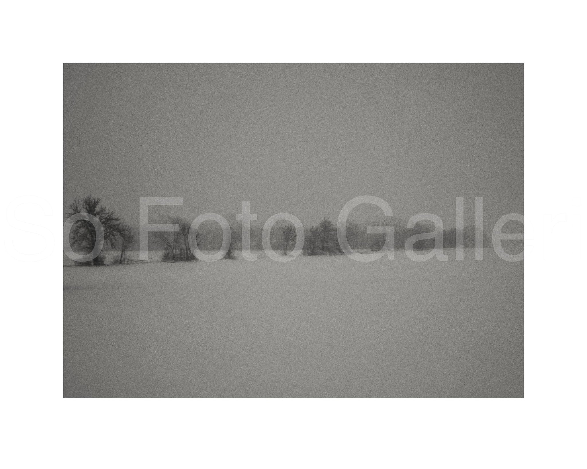 Grey winter landscape