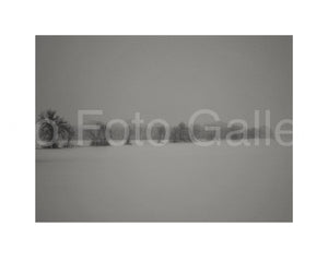 Grey winter landscape