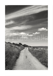 Road