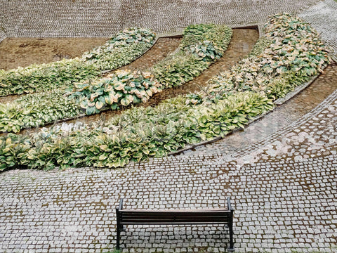 Bänk / Bench