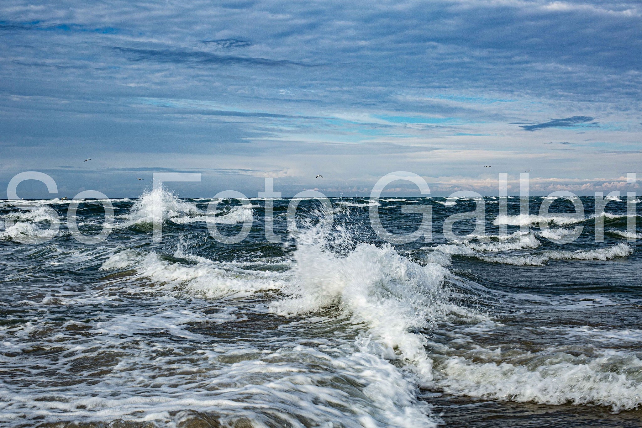 Clash (Skagen, Denmark)