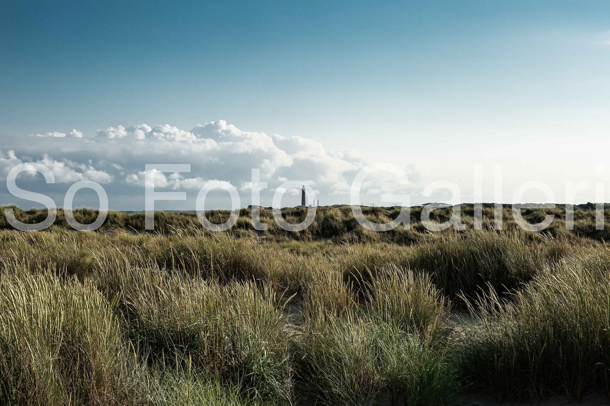 Combed grass and meditating lighthouse