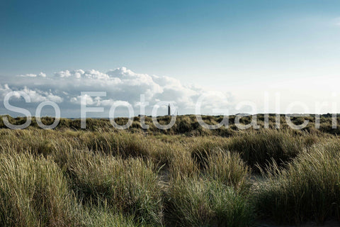 Combed grass and meditating lighthouse