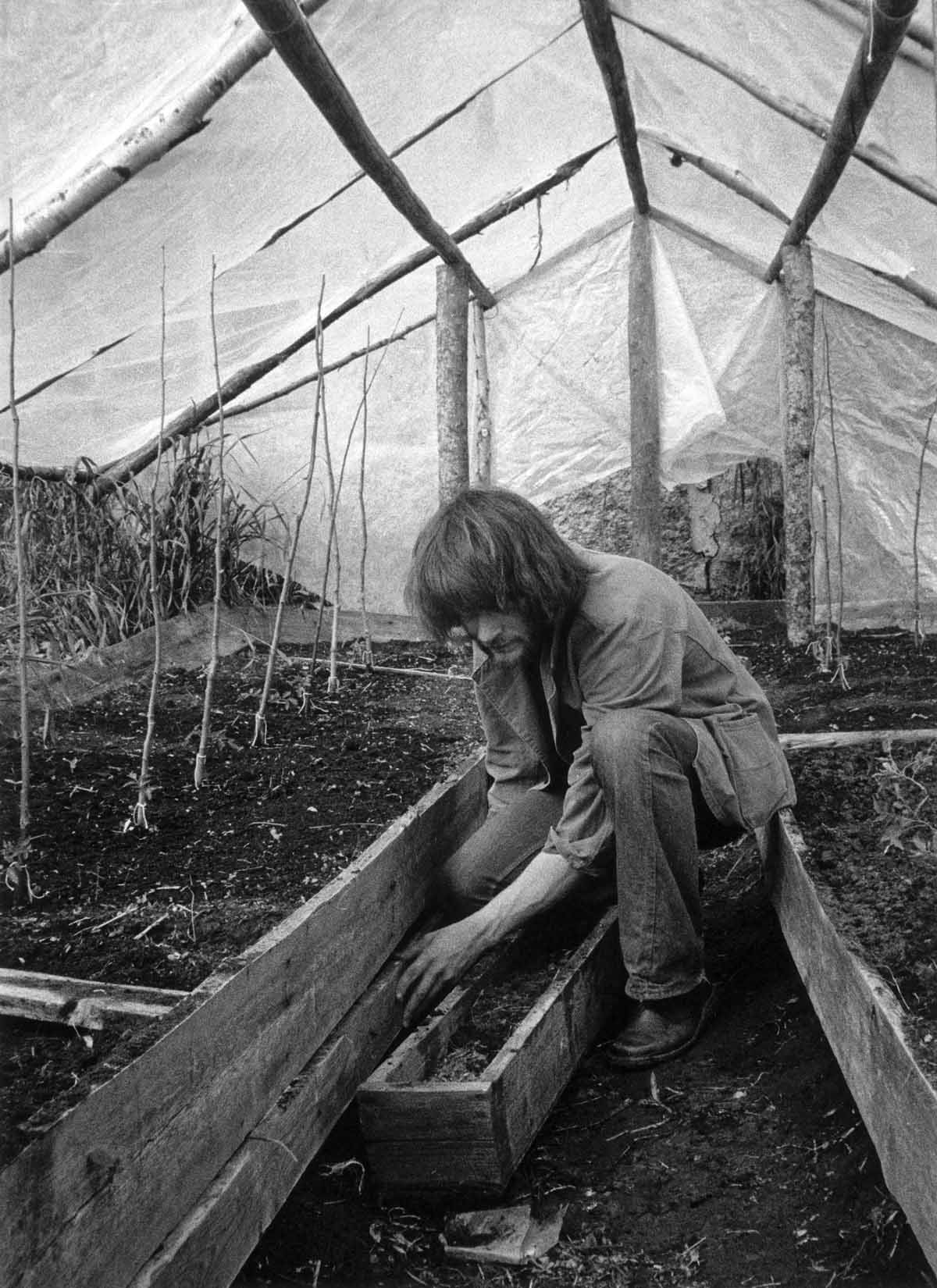 The Greenhouse by Ann Lehndal Skansen