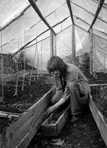 The Greenhouse by Ann Lehndal Skansen