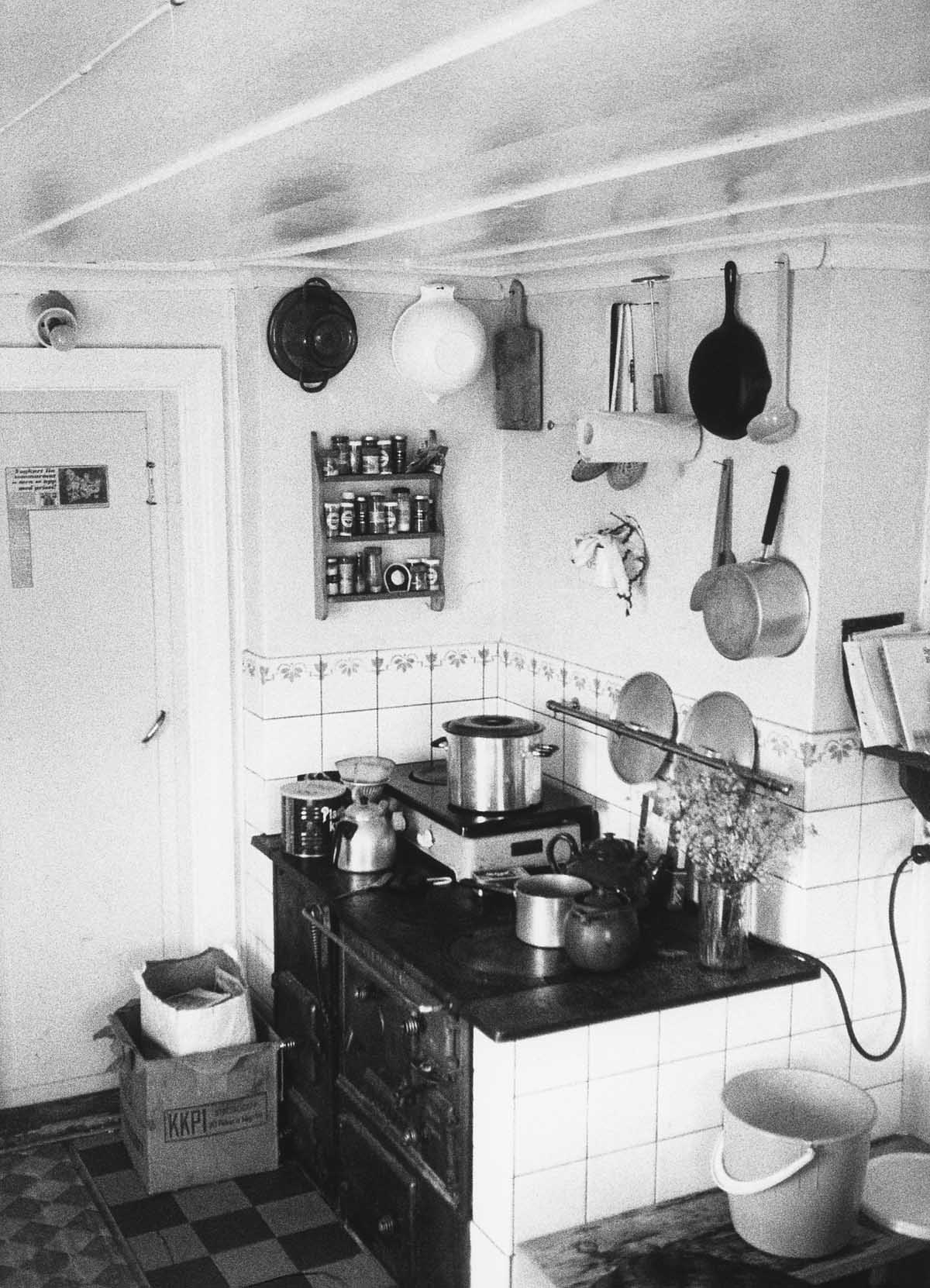 The kitchen stove by Ann Lehndal Skansen
