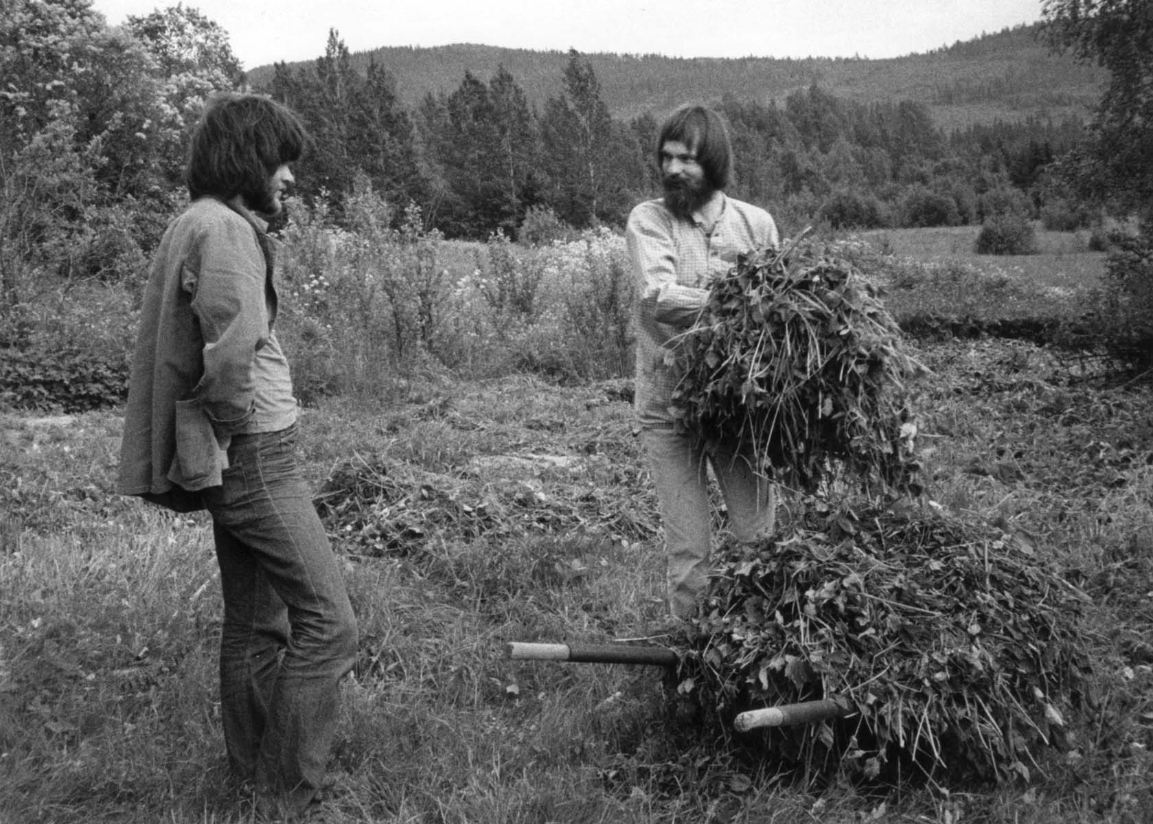 Harvest 2 by Ann Lehndal Skansen