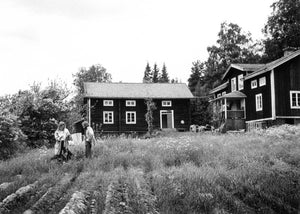 Harvest chat by Ann Lehndal Skansen