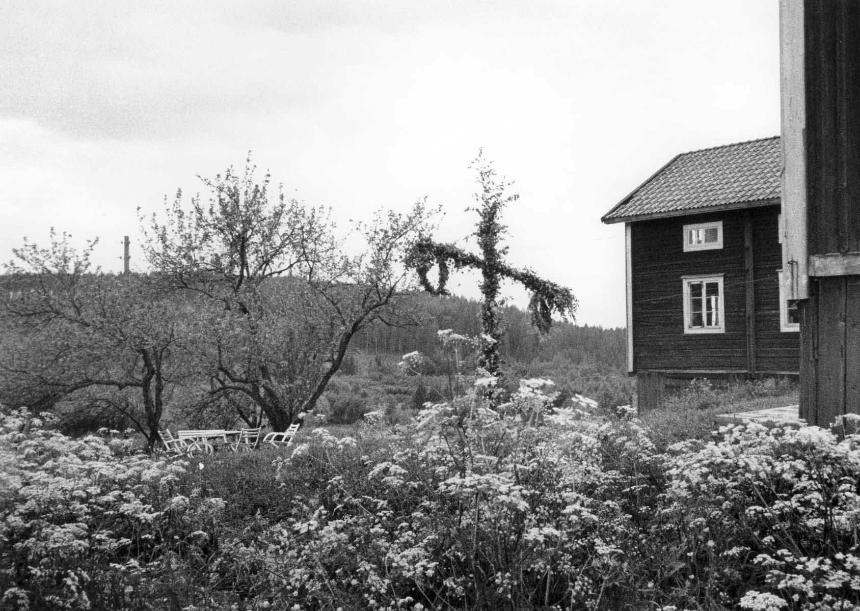 Midsummer night by Ann Lehndal Skansen