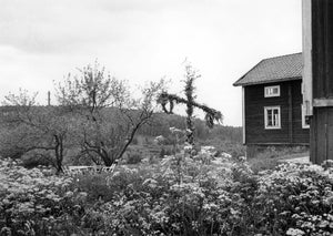 Midsummer night by Ann Lehndal Skansen