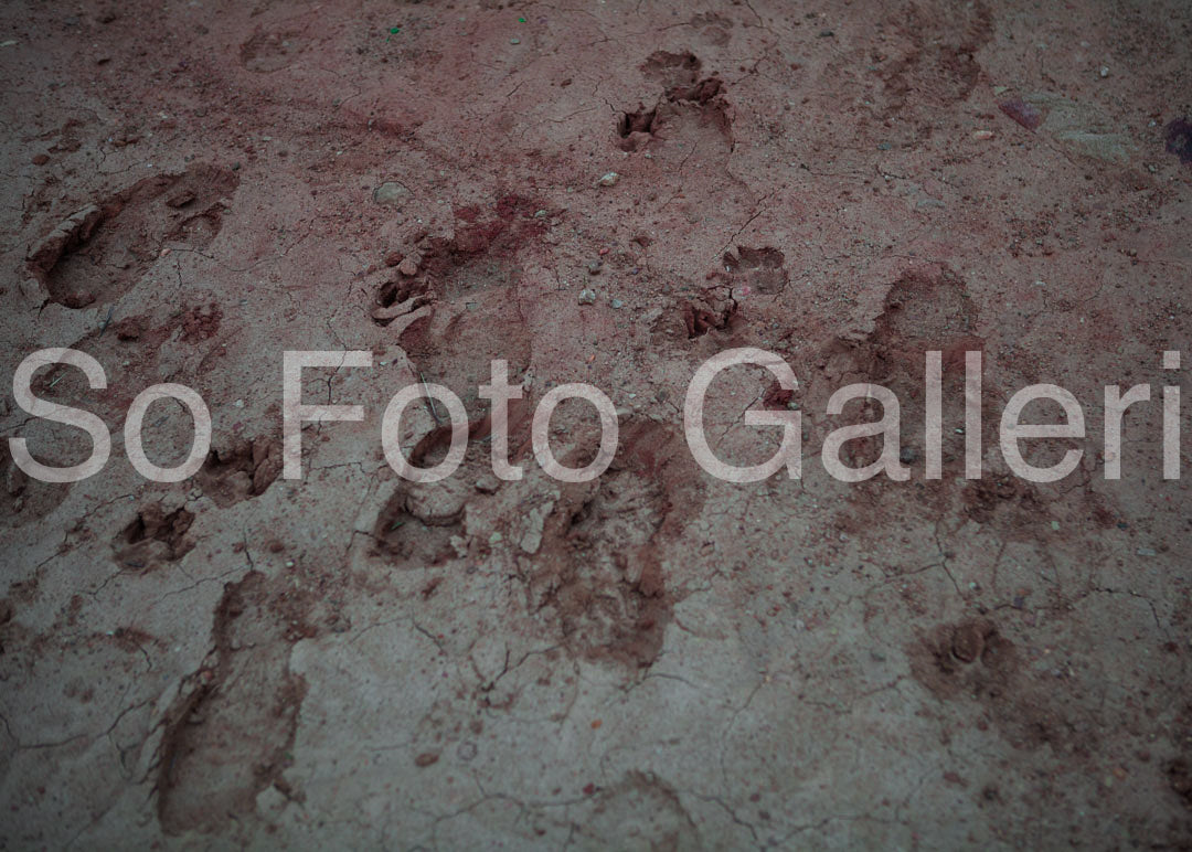 Footprints (Los Angeles, U.S)