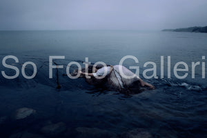 Mermaid (Ingarö, Sweden)