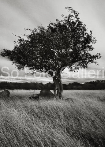 Perfect Harmony (Öland, Sweden)