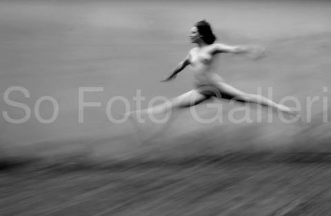 Freedom 2005