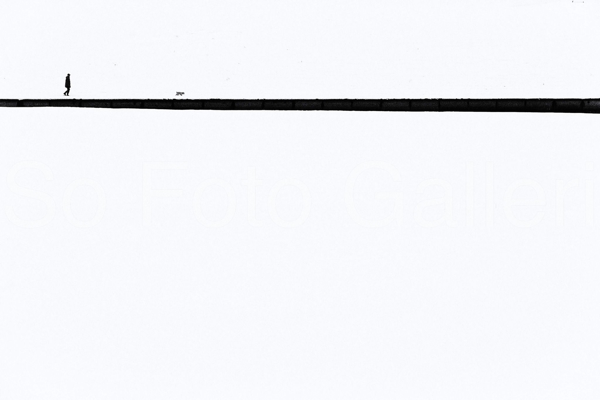 Line 2013