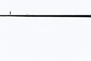 Line 2013