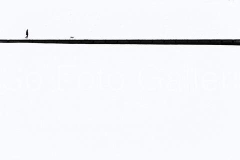 Line 2013