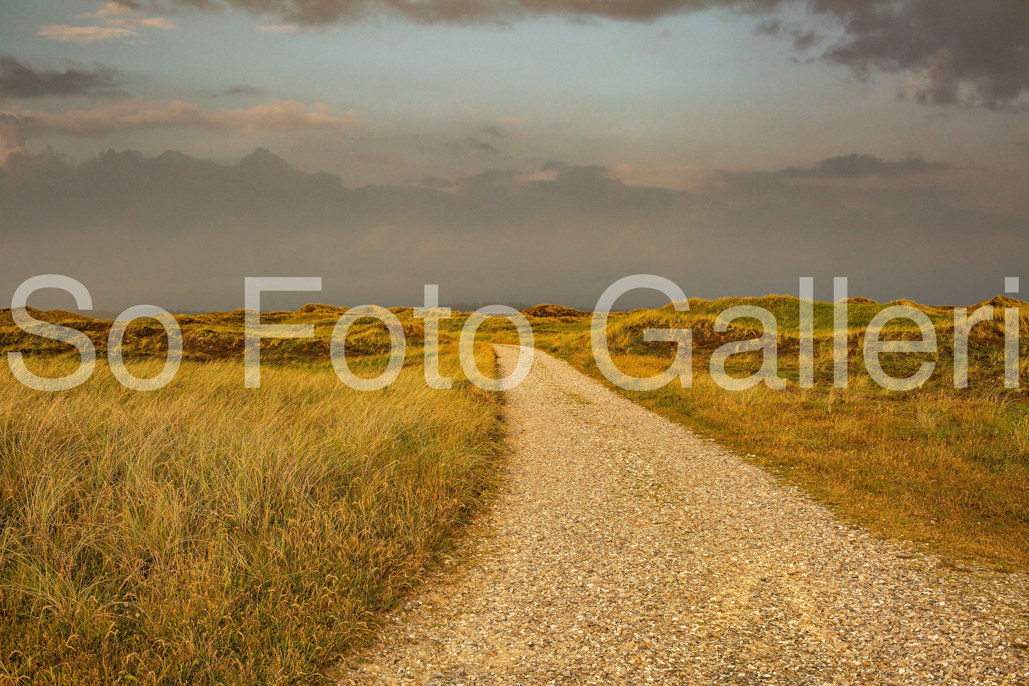 Road (Denmark)