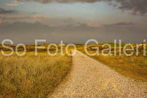 Road (Denmark)