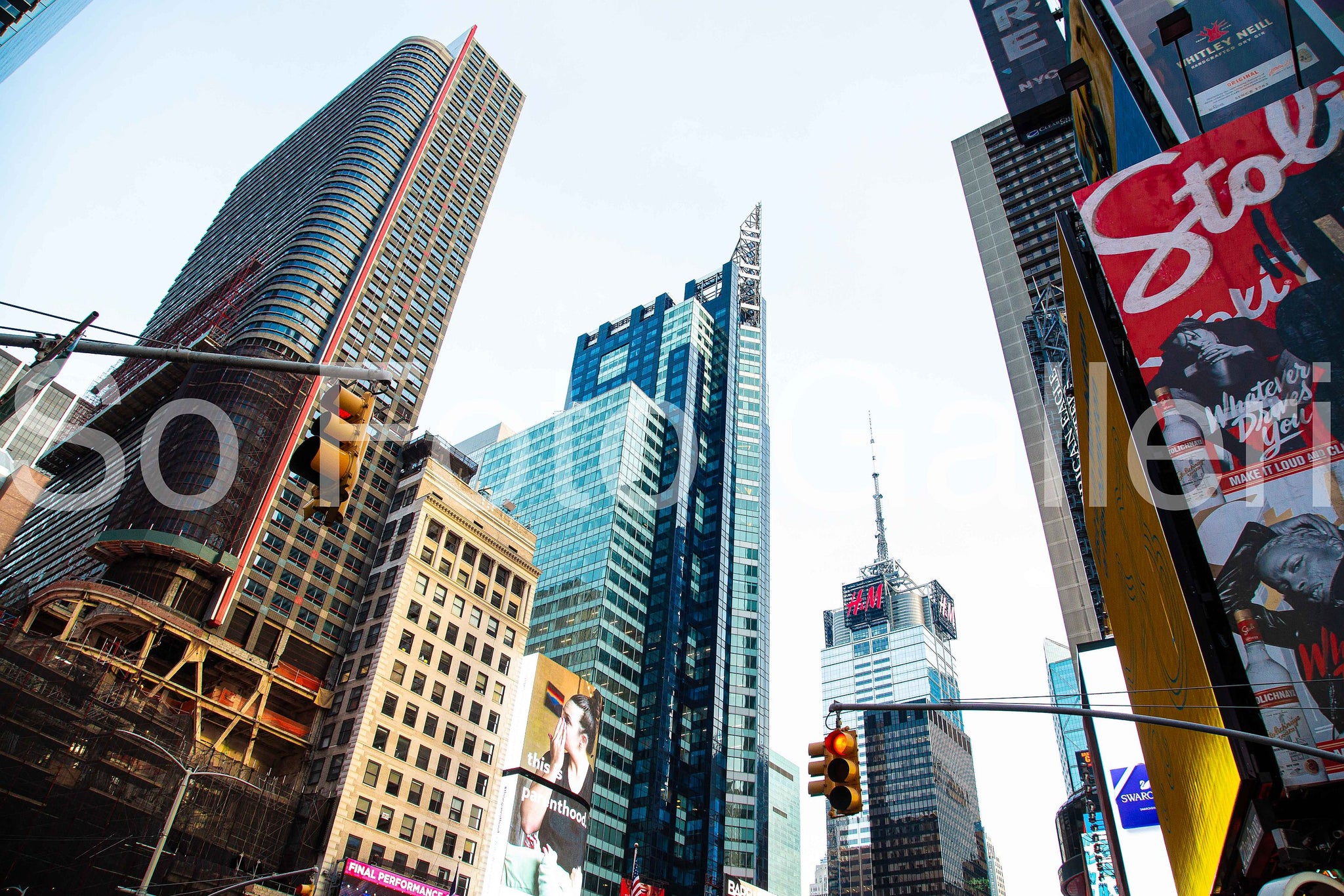 Shadowed world (New York)