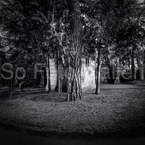 Solna Cemetery