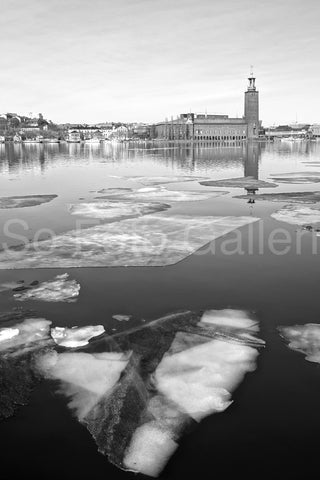 Stadshuset Is / City Hall Ice